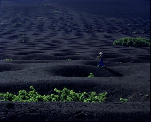 Paisaje Protegido La Geria