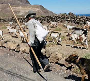 Agricultura y Ganadería